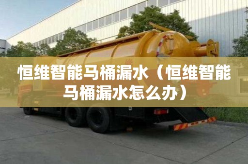 恒维智能马桶漏水（恒维智能马桶漏水怎么办）