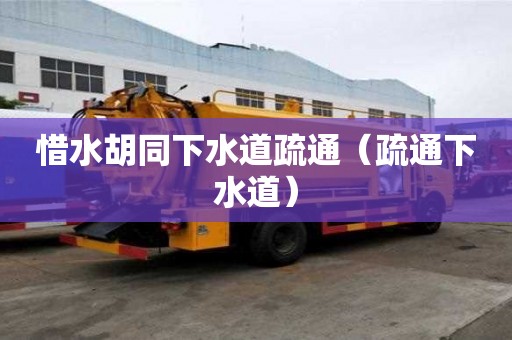 惜水胡同下水道疏通（疏通下水道）