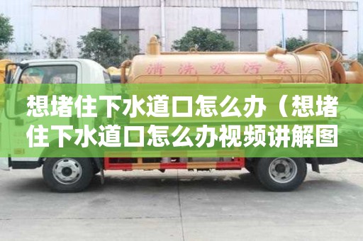 想堵住下水道口怎么办（想堵住下水道口怎么办视频讲解图片）