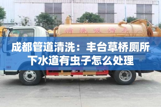 成都管道清洗：丰台草桥厕所下水道有虫子怎么处理