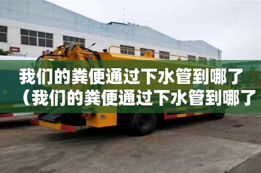 我们的粪便通过下水管到哪了（我们的粪便通过下水管到哪了呢）