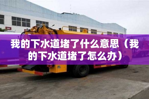 我的下水道堵了什么意思（我的下水道堵了怎么办）