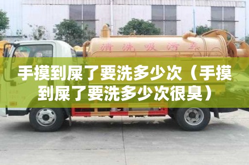 手摸到屎了要洗多少次（手摸到屎了要洗多少次很臭）