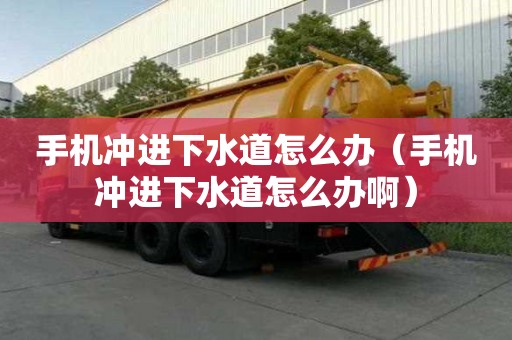 手机冲进下水道怎么办（手机冲进下水道怎么办?。? title=