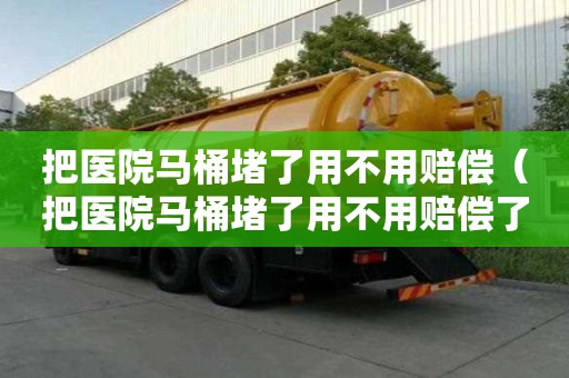 把医院马桶堵了用不用赔偿（把医院马桶堵了用不用赔偿了）