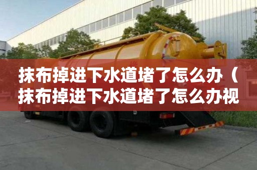 抹布掉进下水道堵了怎么办（抹布掉进下水道堵了怎么办视频）