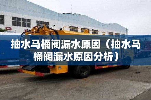 抽水马桶阀漏水原因（抽水马桶阀漏水原因分析）