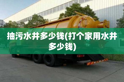 抽污水井多少钱(打个家用水井多少钱)