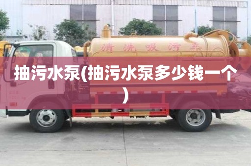 抽污水泵(抽污水泵多少钱一个)