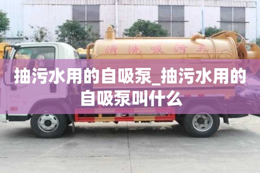 抽污水用的自吸泵_抽污水用的自吸泵叫什么