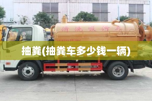 抽粪(抽粪车多少钱一辆)