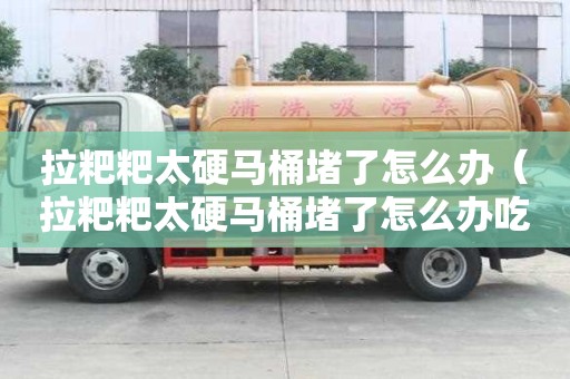 拉粑粑太硬马桶堵了怎么办（拉粑粑太硬马桶堵了怎么办吃什么药）