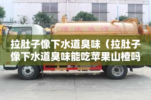 拉肚子像下水道臭味（拉肚子像下水道臭味能吃苹果山楂吗）