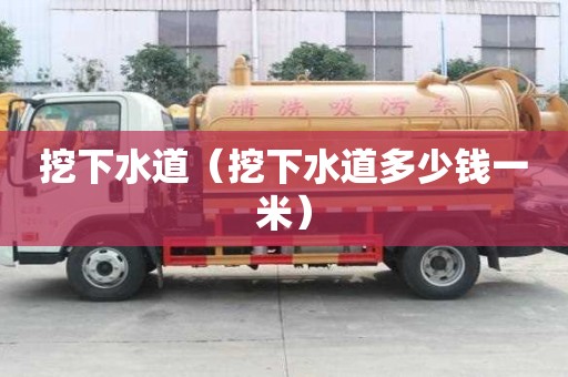 挖下水道（挖下水道多少钱一米）