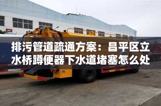 排污管道疏通方案：昌平区立水桥蹲便器下水道堵塞怎么处理