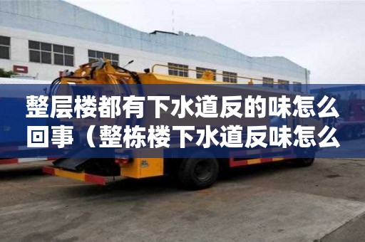 整层楼都有下水道反的味怎么回事（整栋楼下水道反味怎么办?）