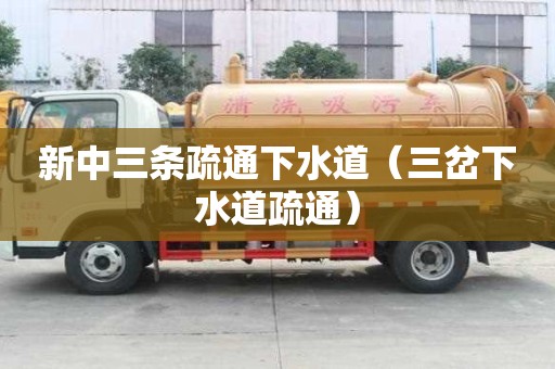 新中三条疏通下水道（三岔下水道疏通）