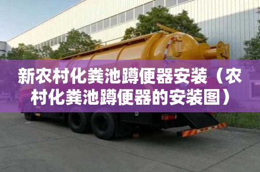 新农村化粪池蹲便器安装（农村化粪池蹲便器的安装图）
