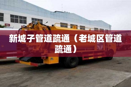 新城子管道疏通（老城区管道疏通）