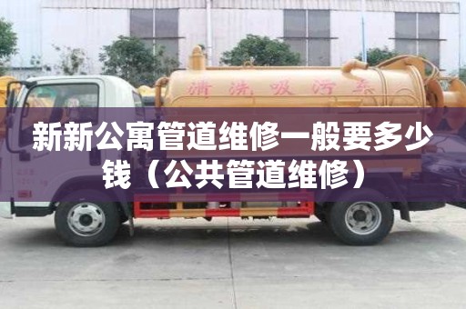 新新公寓管道维修一般要多少钱（公共管道维修）