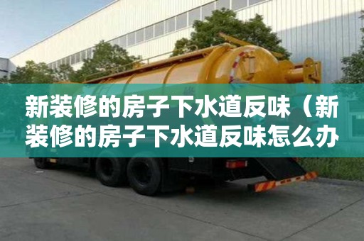 新装修的房子下水道反味（新装修的房子下水道反味怎么办）
