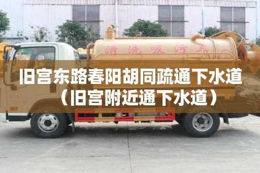 旧宫东路春阳胡同疏通下水道（旧宫附近通下水道）