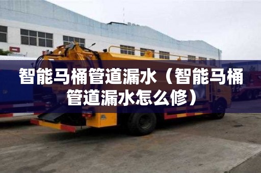 智能马桶管道漏水（智能马桶管道漏水怎么修）