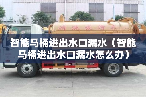 智能马桶进出水口漏水（智能马桶进出水口漏水怎么办）