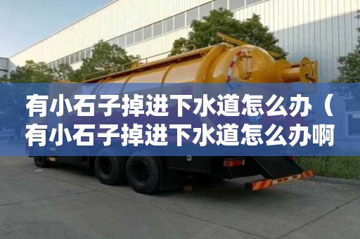 有小石子掉进下水道怎么办(有小石子掉进下水道怎么办?。? title=