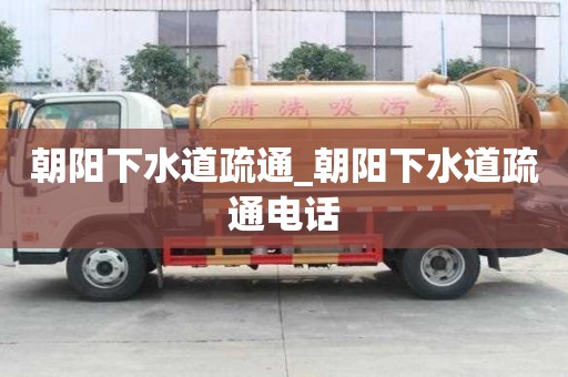 朝阳下水道疏通_朝阳下水道疏通电话