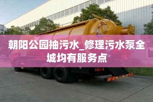 朝阳公园抽污水_修理污水泵全城均有服务点