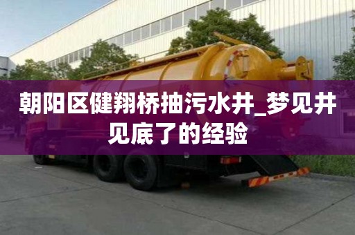 朝阳区健翔桥抽污水井_梦见井见底了的经验