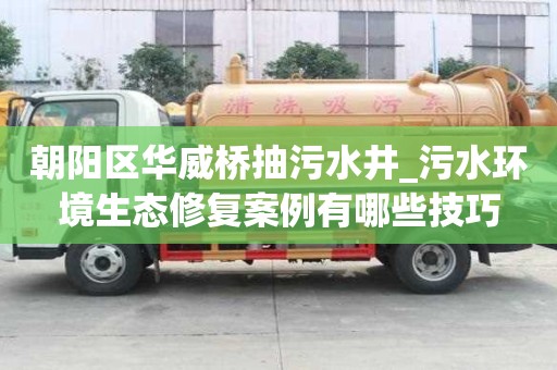 朝阳区华威桥抽污水井_污水环境生态修复案例有哪些技巧