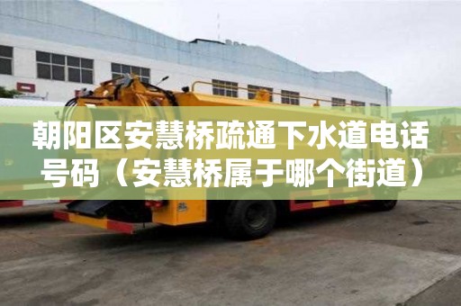 朝阳区安慧桥疏通下水道电话号码（安慧桥属于哪个街道）