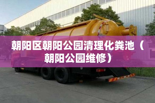 朝阳区朝阳公园清理化粪池(朝阳公园维修) 朝阳区朝阳公园清理化粪池(朝阳公园维修)