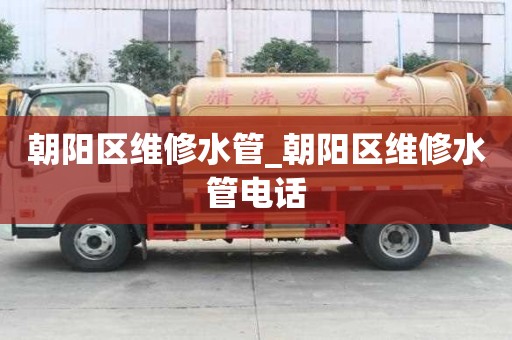 朝阳区维修水管_朝阳区维修水管电话