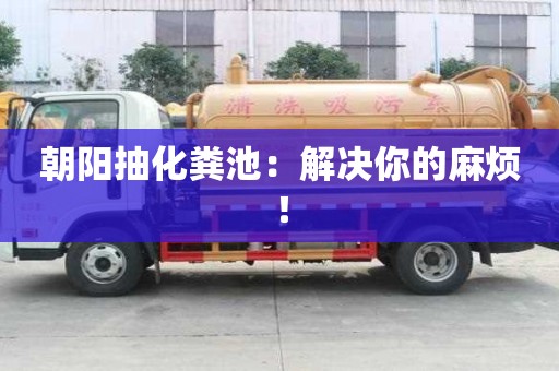 朝阳抽化粪池:解决你的麻烦! 朝阳抽化粪池:解决你的麻烦!