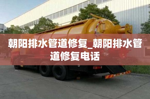 朝阳排水管道修复_朝阳排水管道修复电话