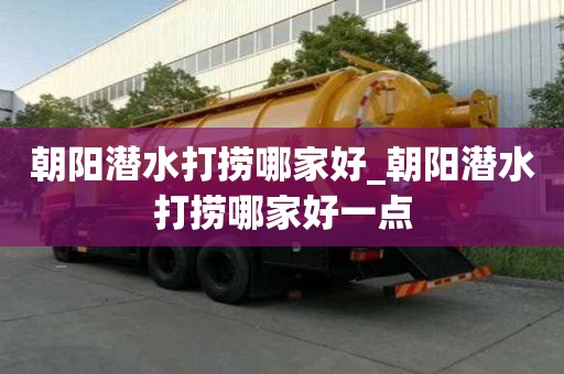 朝阳潜水打捞哪家好_朝阳潜水打捞哪家好一点