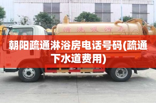 朝阳疏通淋浴房电话号码(疏通下水道费用)