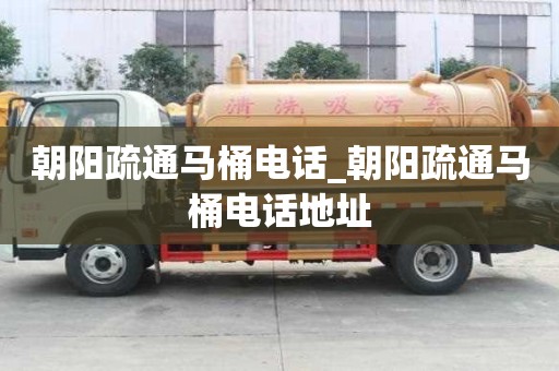 朝阳疏通马桶电话_朝阳疏通马桶电话地址