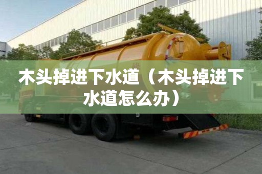 木头掉进下水道（木头掉进下水道怎么办）
