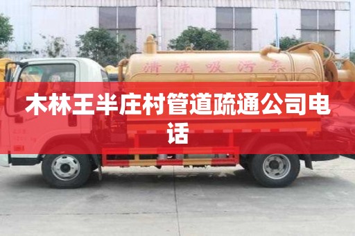 木林王半庄村管道疏通公司电话