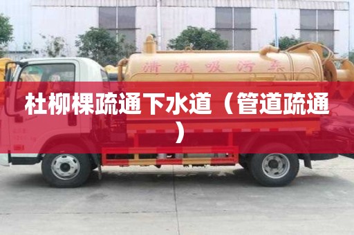 杜柳棵疏通下水道（管道疏通）