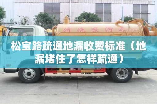 松宝路疏通地漏收费标准（地漏堵住了怎样疏通）