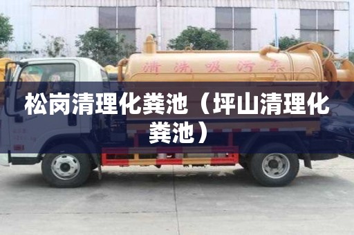 松岗清理化粪池（坪山清理化粪池）