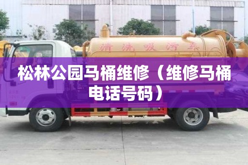 松林公园马桶维修（维修马桶电话号码）