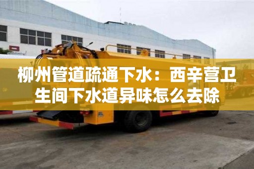 柳州管道疏通下水：西辛营卫生间下水道异味怎么去除