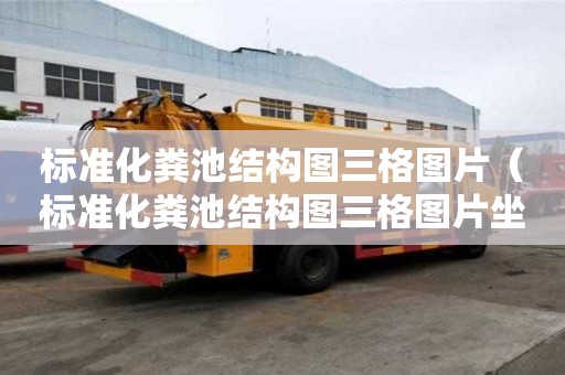 标准化粪池结构图三格图片（标准化粪池结构图三格图片坐）
