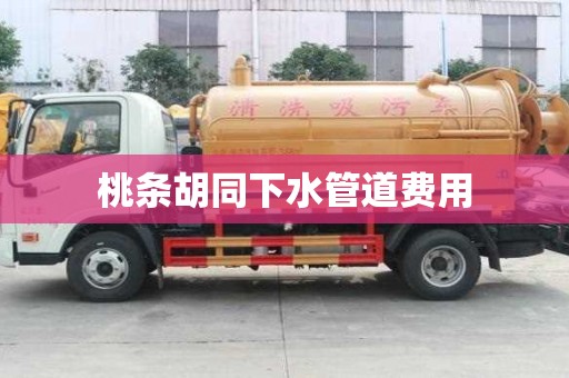 桃条胡同下水管道费用 桃条胡同下水管道费用